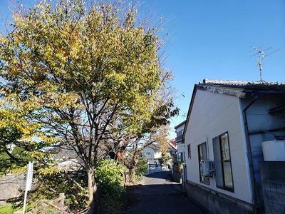 Single-Story Traditional Home in Tottori City - 3K Layout — Image 1, Tottori, Tottori