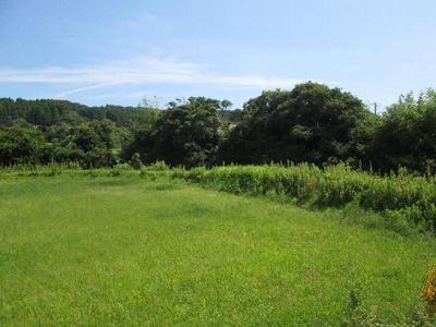 Single-Story Home in Onjuku - 1LDK House with Garden — Image 1, Onjuku, Chiba