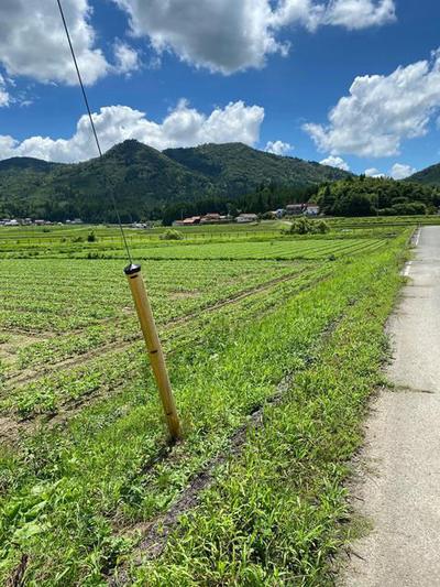 [Hatomark Site] 8DK used detached house in Nomi, Toyoe-cho, Higashihiroshima City, Hiroshima Prefecture — Image 2, Higashihiroshima, Hiroshima