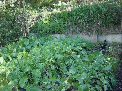 Traditional Single-Story Home with Ceramic Studio in Tateyama — Image 4, Tateyama, Chiba