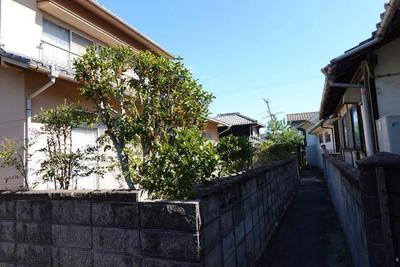 Traditional 5DK House on Momoshima Island, Onomichi - Island Living — Image 3, Onomichi, Hiroshima