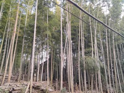 [Hatomark Site] 4K Used Detached House in Oaza Shachi, Ube City, Yamaguchi Prefecture — Image 1, Ube, Yamaguchi