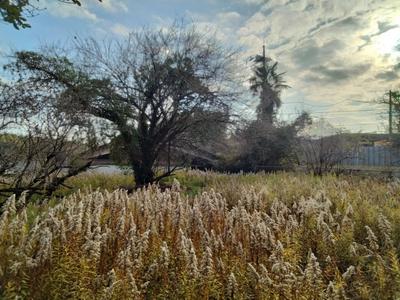 [Hatomark Site] 4K Used Detached House in Oaza Shachi, Ube City, Yamaguchi Prefecture — Image 3, Ube, Yamaguchi