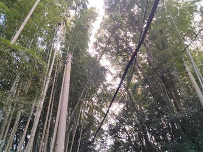 [Hatomark Site] 4K Used Detached House in Oaza Shachi, Ube City, Yamaguchi Prefecture — Image 4, Ube, Yamaguchi