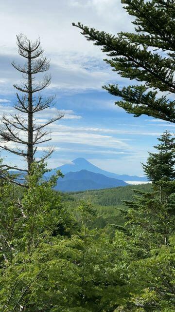 [Hatomark Site] A 3-story, used detached house with a view of Mt. Fuji in the Uminokuchi Nature Village Villa Area in Uminokuchi, Minamimaki Village, Minamisaku District, Nagano Prefecture — Land, Minamimaki, Nagano