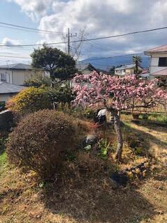 [Hatomark Site] 4DK Used Detached House in Fuyodai 3-chome, Mishima City, Shizuoka Prefecture — Image 3, Mishima, Shizuoka