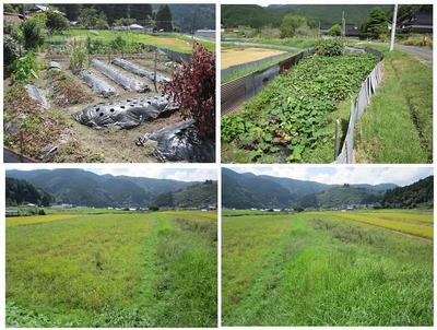 Historic 1916 Japanese House with Farmland in Kagamino, Okayama — Image 1, Kagamino, Okayama