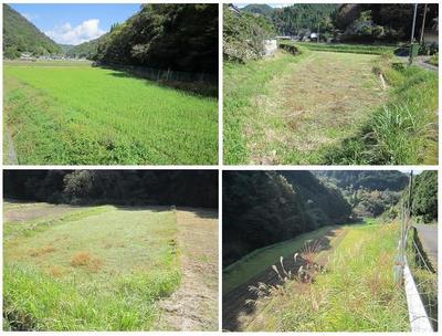 Spacious 9DK Traditional Home in Mimasaka with Mountain Spring — Image 1, Mimasaka, Okayama