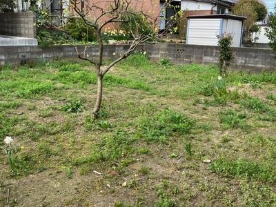 Spacious 3LDK House with Large Garden in Koyama-cho, Tottori — Image 2, Tottori, Tottori