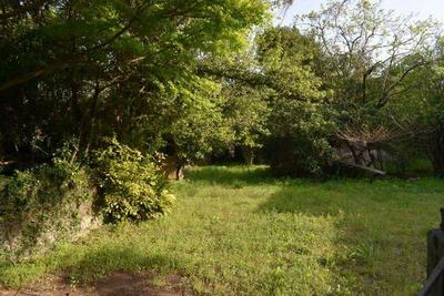 Traditional 3DK House with Large Land in Shibushi, Kagoshima — Image 4, Shibushi, Kagoshima