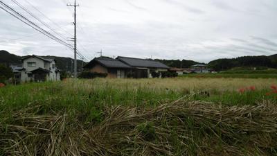 Spacious 4DK House in Mimasaka City with Large Land Plot — Image 2, Mimasaka, Okayama