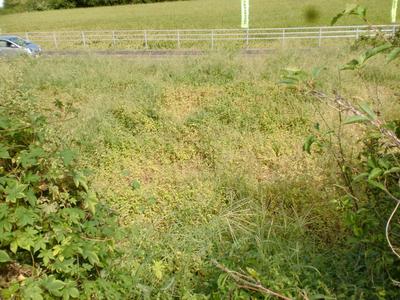Historic 5DK House with Agricultural Land in Arao City, Kumamoto — Image 2, Arao, Kumamoto
