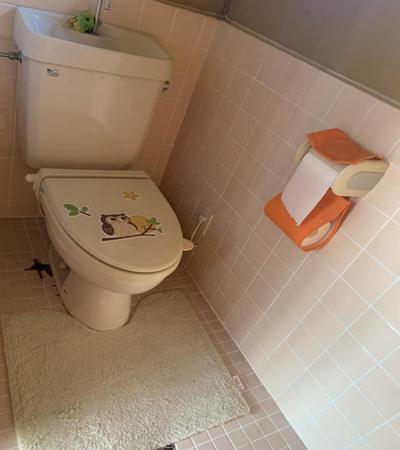 Traditional 3DK House in Coastal Kushimoto for Sale — Toilet, Kushimoto, Wakayama