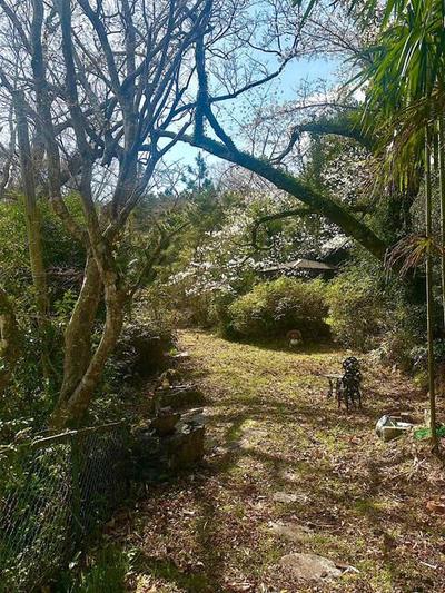 Large Mountain Estate with 6,134m² Land in Odai-cho, Mie — Land, Odai, Mie