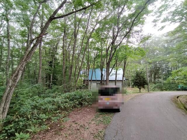 Secluded Land in Nojiriko Green Town, Nagano - 408 sqm Forest Plot - Thumbnail 2