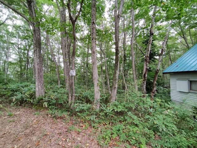 Secluded Land in Nojiriko Green Town, Nagano - 408 sqm Forest Plot - Thumbnail 4