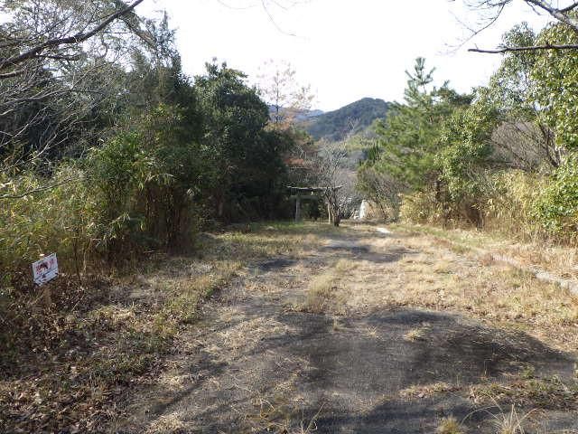 Land for Sale in Sanuki City, Kagawa - 298 sqm Forest Plot - Thumbnail 2