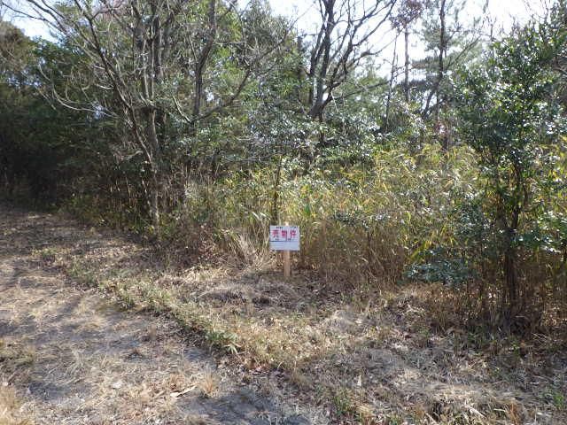 Land for Sale in Sanuki City, Kagawa - 298 sqm Forest Plot - Thumbnail 3