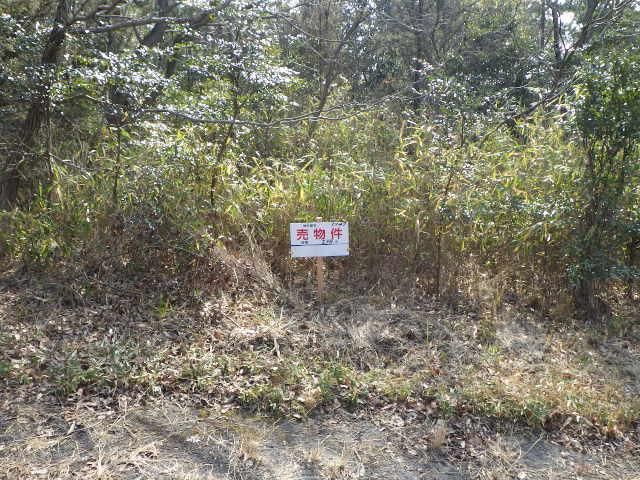 Land for Sale in Sanuki City, Kagawa - 298 sqm Forest Plot - Thumbnail 4