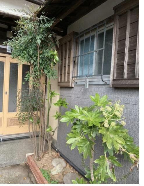 7K House for Sale in Isogo, Yokohama - 502.41㎡ Land - Main Image