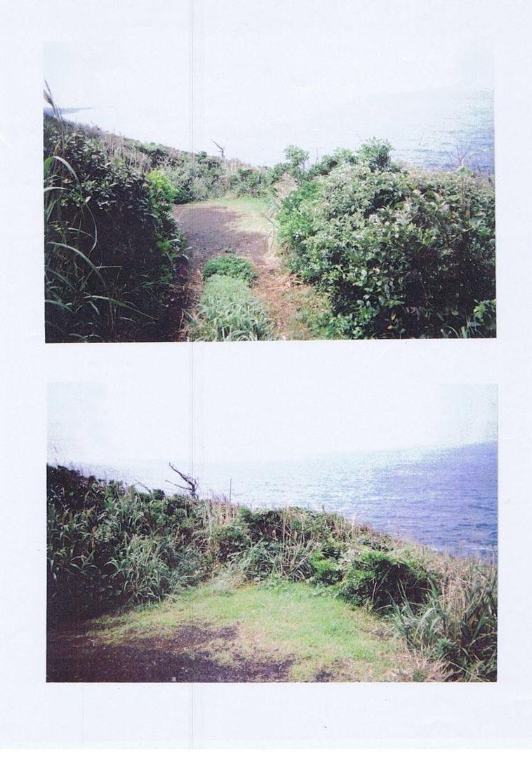 Vacant Land for Villa in Hachijojima, Tokyo - 793 sqm - Thumbnail 2