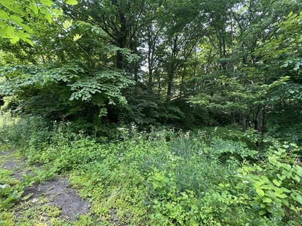 Vacant Villa Land for Sale in Haruna Echo Highland, Gunma - Thumbnail 4