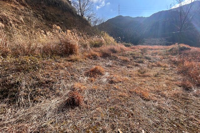 Land for Sale in Sakurai, Nara - 787.73m² - Thumbnail 3