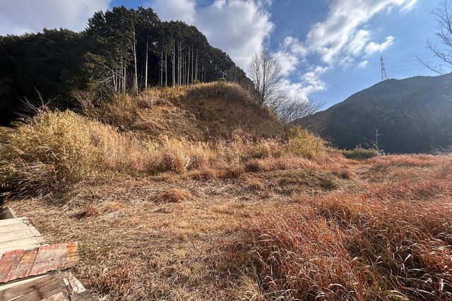 Land for Sale in Sakurai, Nara - 787.73m² - Image 1