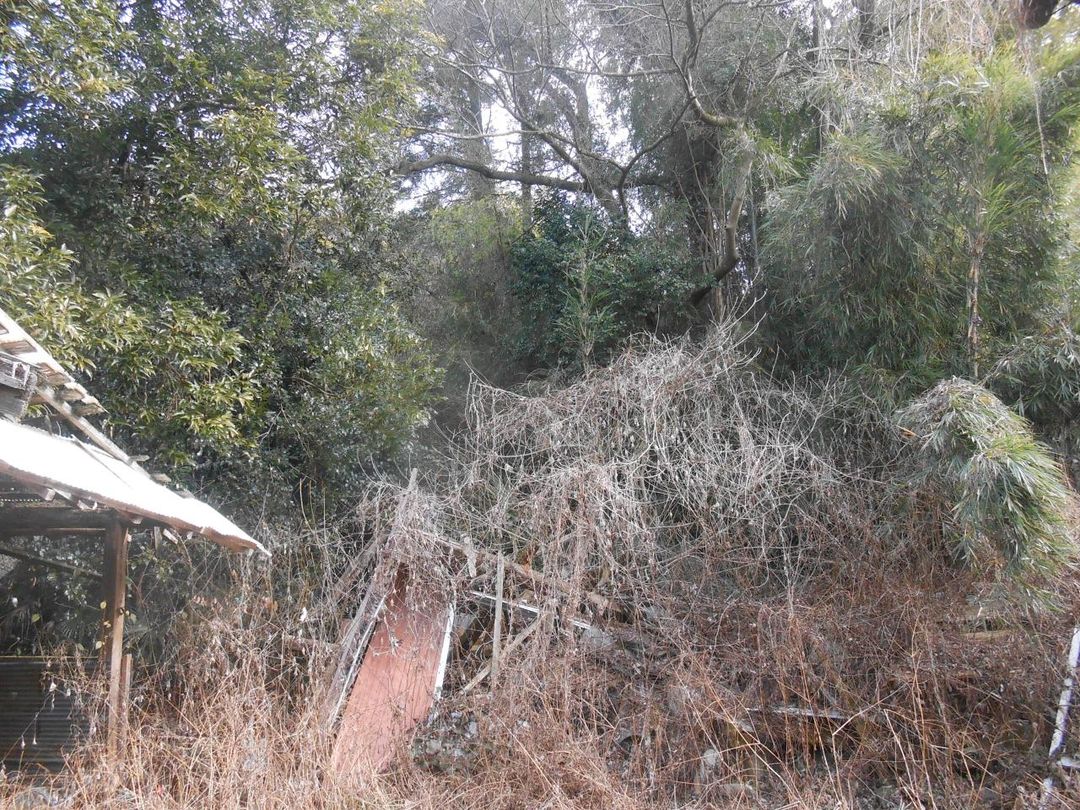 Rural 3DK House with Large Land Plot in Miyazaki - Thumbnail 4