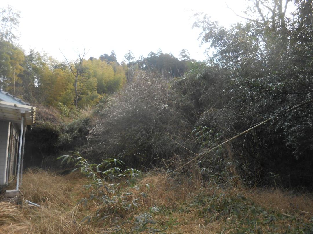 Rural 3DK House with Large Land Plot in Miyazaki - Thumbnail 3