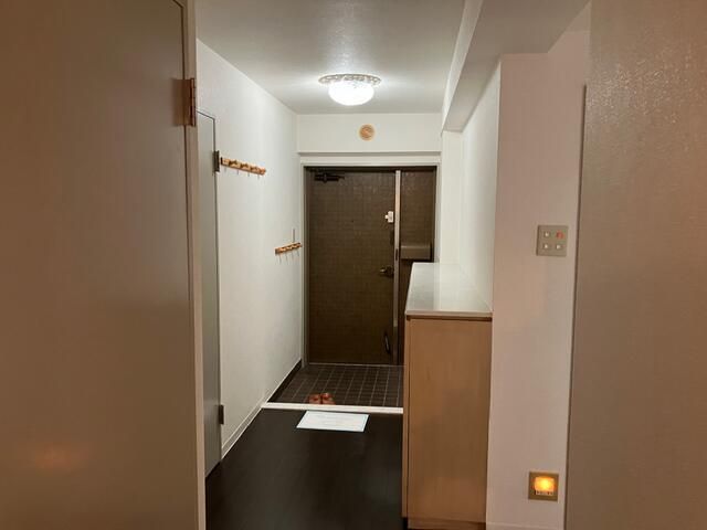 Renovated 4LDK Apartment in Ota, Tokyo with Triple-Sided Light - Thumbnail 4