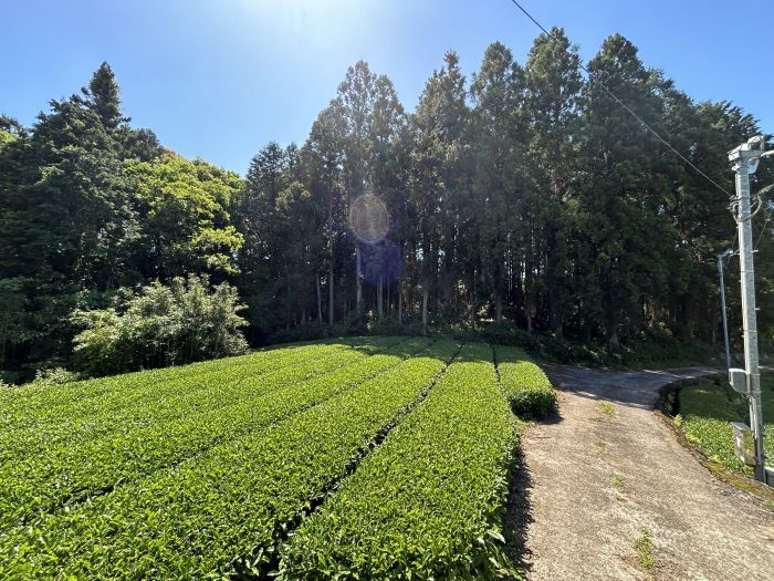 Land for Sale in Ureshino, Saga - 4,232 sqm Storage Yard Site - Thumbnail 3