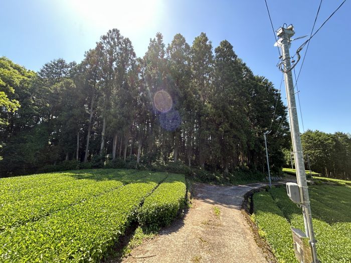 Land for Sale in Ureshino, Saga - 4,232 sqm Storage Yard Site - Thumbnail 4