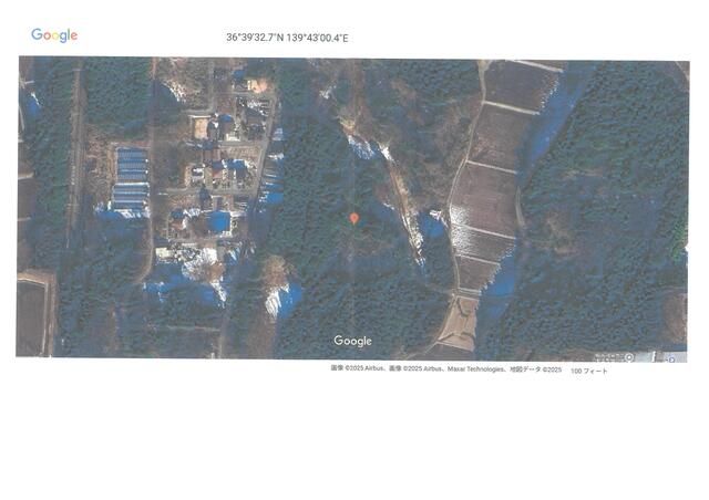 Land for Sale in Nikko, Tochigi - 98 sqm Forest Plot - Thumbnail 2