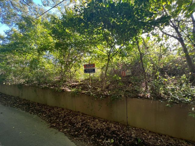 Land for Sale in Tosu City, Saga - Ideal Storage Yard Site - Thumbnail 4