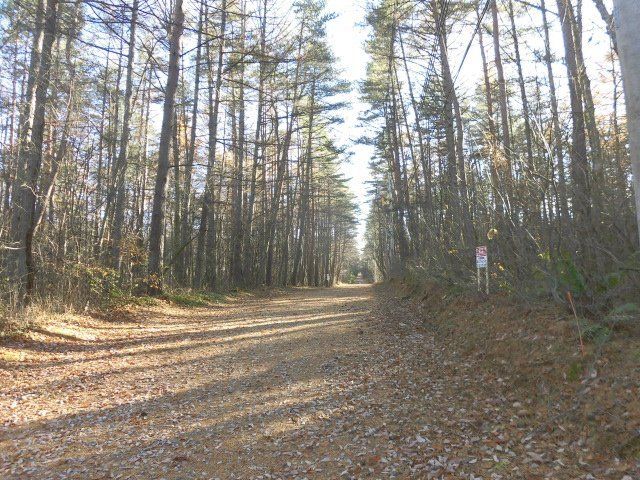 Villa Land for Sale in Tsumagoi, Gunma - 206 sqm Plot - Thumbnail 2