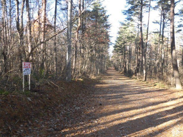 Villa Land for Sale in Tsumagoi, Gunma - 206 sqm Plot - Thumbnail 4