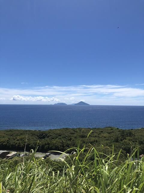 Land for Sale in Oshima, Tokyo - 673 sqm Residential Plot - Thumbnail 4