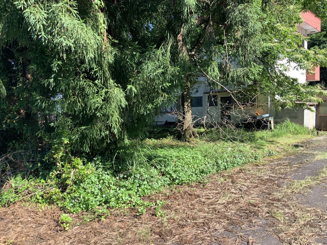 Residential Land for Sale in Echizen City, Fukui - 231.83 sqm - Thumbnail 2