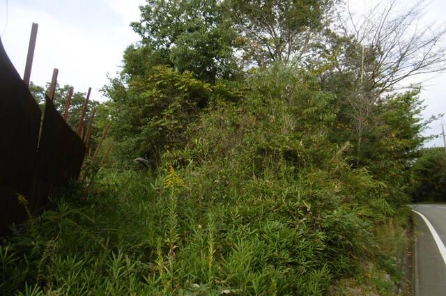 993 sqm Land for Sale in Kakogawa, Hyogo - Storage Yard Potential - Thumbnail 2