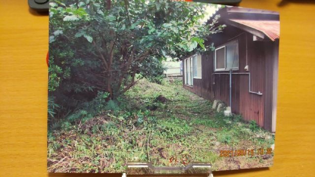 Land for Sale in Kunisaki City, Oita - 367.62 sqm Plot - Thumbnail 2