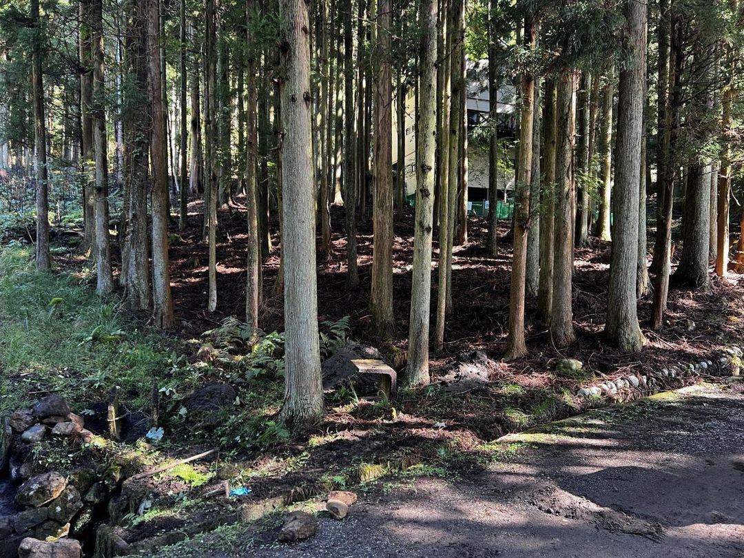 Villa Plot with Hot Spring Potential in Nara's Mitsue Village - Thumbnail 4