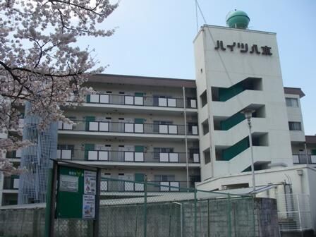 3LDK Apartment for Sale in Kashihara, Nara - Near Kintetsu Stations - Main Image