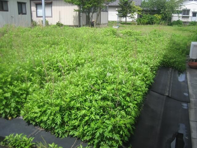 Residential Land Plot for Sale in Tsuruoka, Yamagata - Thumbnail 2