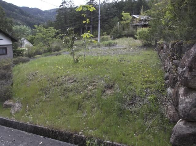 Vacant Forest Land for Sale in Nakatsugawa, Gifu - Ideal Villa Site - Thumbnail 3