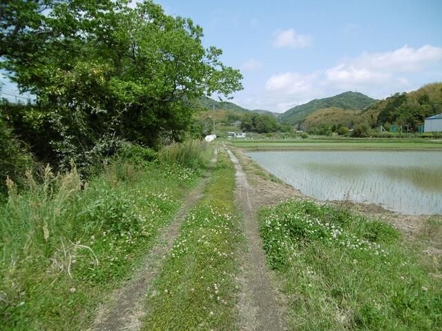 Agricultural Land for Sale in Haruno Town, Kochi City - Thumbnail 2