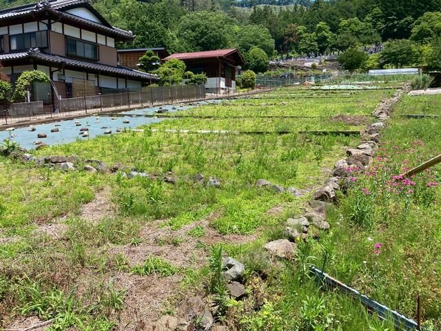 Agricultural Land for Sale in Tsuru, Yamanashi - 513 sqm - Thumbnail 3
