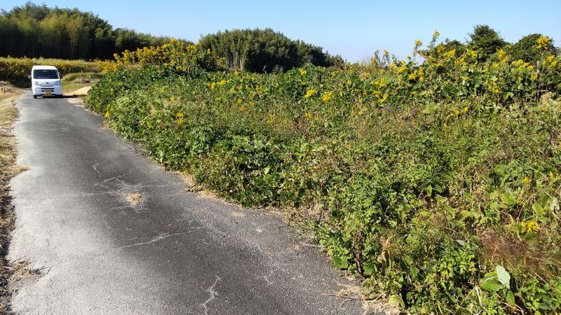 504 sqm Agricultural Land for Sale in Tokoname, Aichi - Thumbnail 2