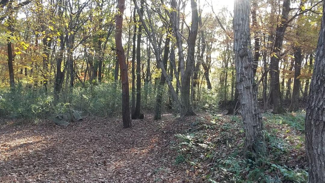 Villa Land for Sale in Nishigo Village, Fukushima - World Park - Thumbnail 2