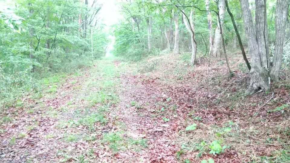 Villa Land for Sale in Nishigo Village, Fukushima - World Park - Thumbnail 3